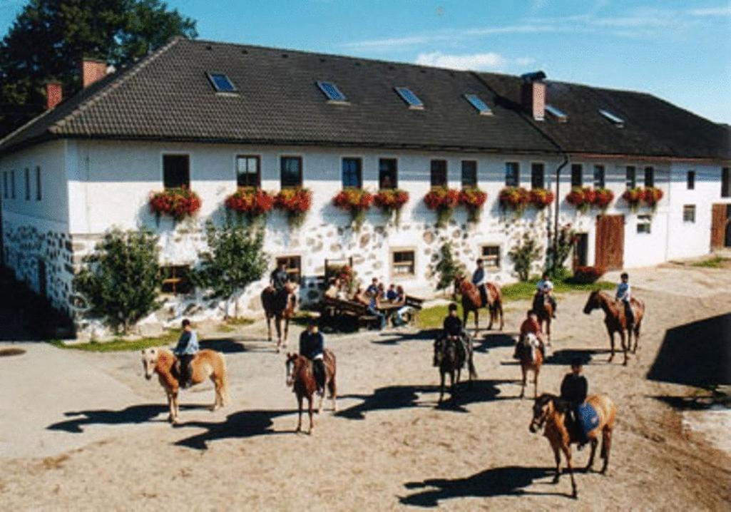 Reiterhof Stoeglehner Villa Rainbach im Mühlkreis Екстериор снимка
